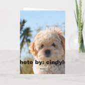 CARTE LA VIE EST INCERTAINE, MANGENT LE DESSERT F… (Dos)