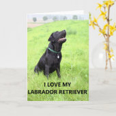 Carte lab love w pic (Fleur jaune)