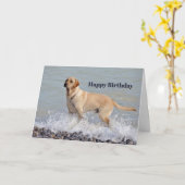Carte Lab Yellow Dog Water Photo Anniversaire (Fleur jaune)