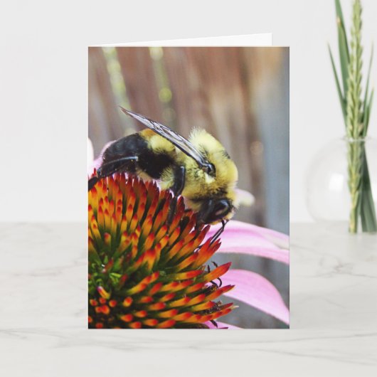 Carte L'abeille bourde (Devant)