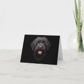 Carte Labradoodle Chien noir (Devant)
