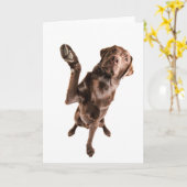 Carte Labrador avec Big High Five (Fleur jaune)