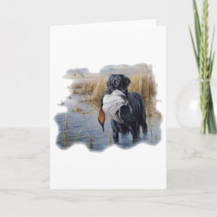 Carte Labrador avec chasse au canard