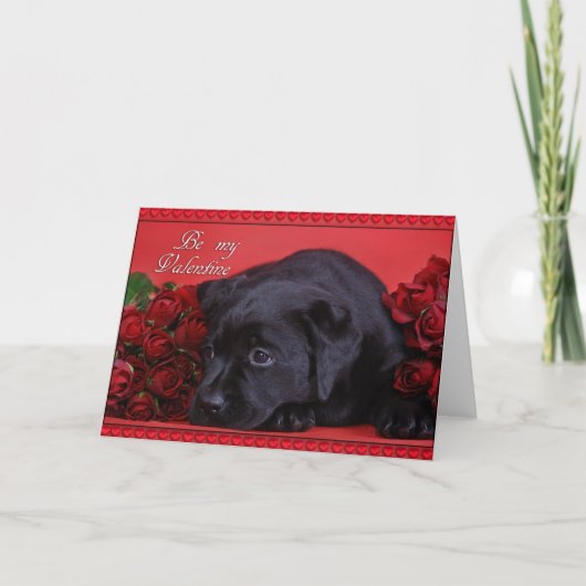 Carte Labrador avec des roses (Devant)