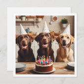 Carte Labrador, carte d'anniversaire du Labrador, (Devant / Derrière)