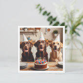Carte Labrador, carte d'anniversaire du Labrador, (Debout devant)