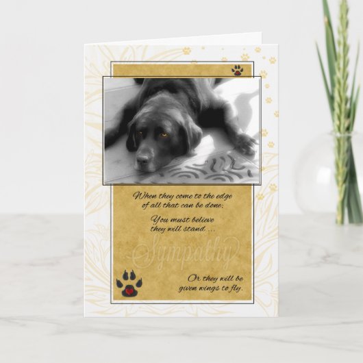 Carte Labrador Chien noir blanc avec Sympathie pour anim (Devant)