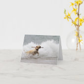 Carte Labrador - jaune - allez effort ! (Fleur jaune)