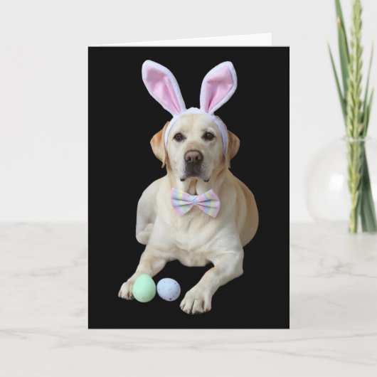 Carte Labrador jaune de Pâques Chien Lapin Oreilles Chas (Devant)