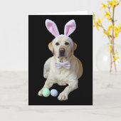 Carte Labrador jaune de Pâques Chien Lapin Oreilles Chas (Fleur jaune)