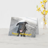 Carte Labrador noir heureux (Fleur jaune)