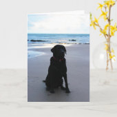 Carte Labrador noir sur une plage (Fleur jaune)