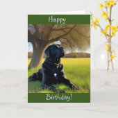 Carte Labrador Retriever Birday (Fleur jaune)