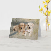 Carte Labrador Retriever Card Pubs Sur La Plage (Fleur jaune)