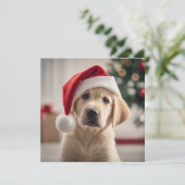 Carte Labrador Retriever Christmas (Debout devant)