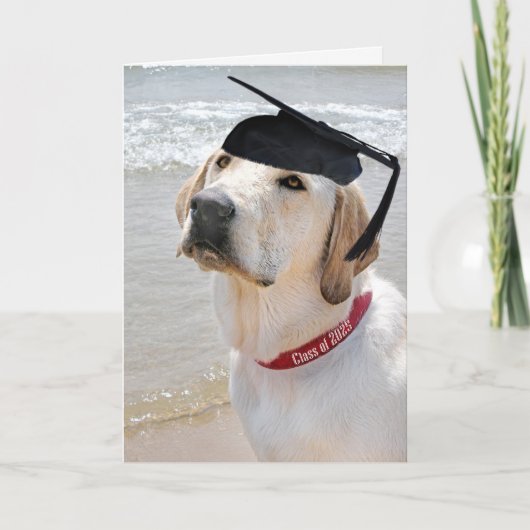 Carte Labrador Retriever Graduation 2025 (Devant)