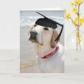 Carte Labrador Retriever Graduation 2025 (Fleur jaune)