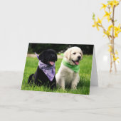 Carte Labrador Retriever Puppies Blank Greeting Card (Fleur jaune)