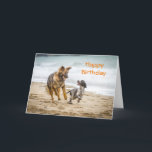 Carte Lac Birthday<br><div class="desc">Happy Birthday card featuring a photograph of a German Shepherd Dog Alsatian and a Cockerspaniel running happily along a beach together playing. They are best friends having fun together playing with their ball.</div>