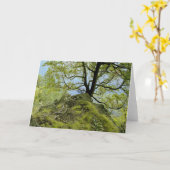 Carte Lac Champlain tree/ (Fleur jaune)