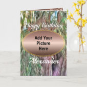 Carte Lac de Tule Oaxaca (Fleur jaune)