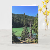 Carte Lac Devil, Oregon (Fleur jaune)