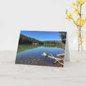 Carte Lac Devil, Oregon (Fleur jaune)