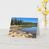 Carte Lac Sparks (Fleur jaune)