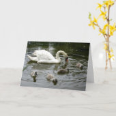 Carte Lac Swan (Fleur jaune)