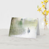 Carte Lac Swan (Fleur jaune)
