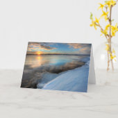 Carte Lac Teslin Après Une Tempête De Défrichement, Yuko (Fleur jaune)