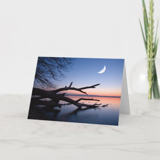 Carte Lac Tree at Starnberg | Bavaria Germany (Devant)