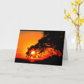 Carte Lac Winnebago Coucher De Soleil Penser À Vous (Fleur jaune)