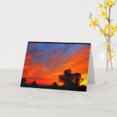 Carte Lac Winnebago Coucher De Soleil Penser À Vous (Fleur jaune)