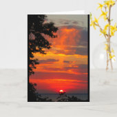 Carte Lac Winnebago Coucher De Soleil Penser À Vous (Fleur jaune)