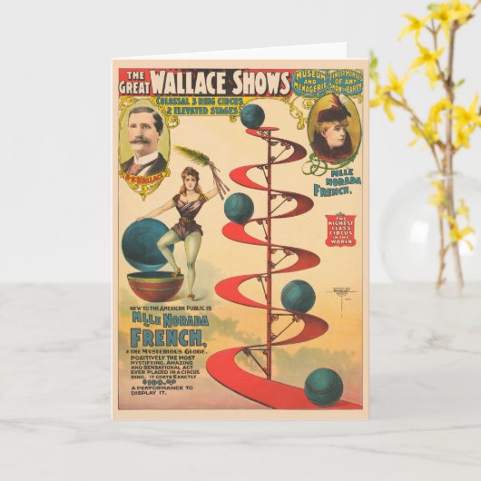 Carte L'Acte De M'lle Norada Français (Fleur jaune)