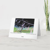 Carte "L'adieu du serpent" Transformé Snakeskin (Dos)