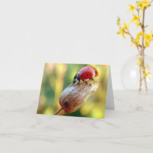 Carte Ladtbug (Fleur jaune)