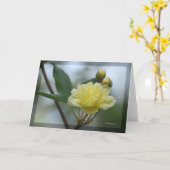Carte Lady Banks Rosea (Fleur jaune)