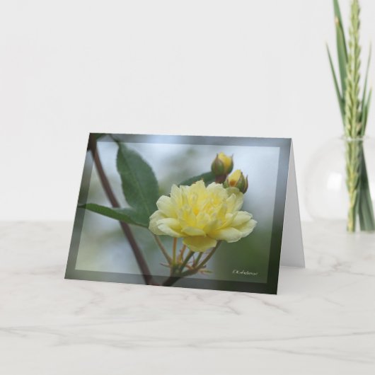 Carte Lady Banks Rosea (Devant)