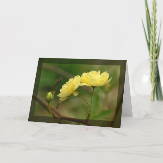 Carte Lady Banks Rosea Duo (Devant)