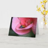 Carte Lady Bug (Fleur jaune)
