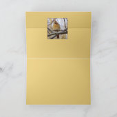 Carte Lady C (Intérieur)