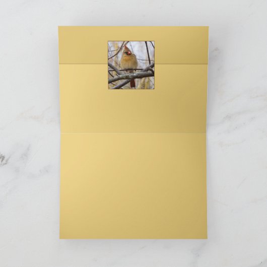 Carte Lady C (Intérieur)