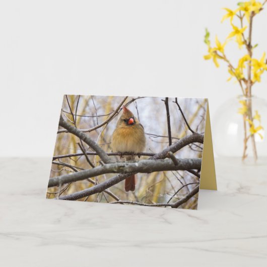 Carte Lady C (Fleur jaune)