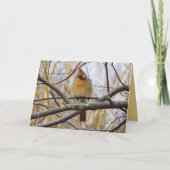 Carte Lady C (Devant)