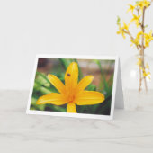 Carte Ladybug (Fleur jaune)