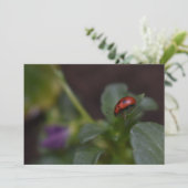 Carte Ladybug (Debout devant)