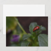 Carte Ladybug (Devant / Derrière)