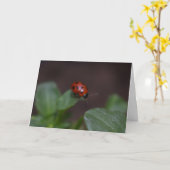 Carte Ladybug (Fleur jaune)